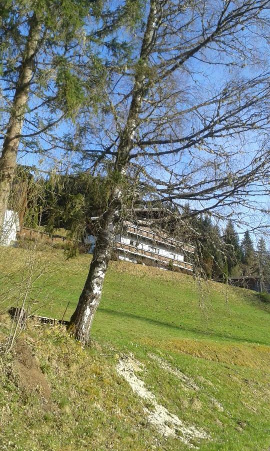 Pension Chalet Bergseegut Wagrain Exterior photo