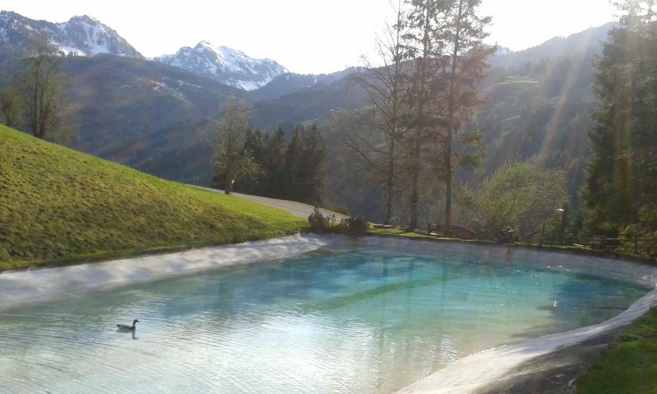 Pension Chalet Bergseegut Wagrain Exterior photo