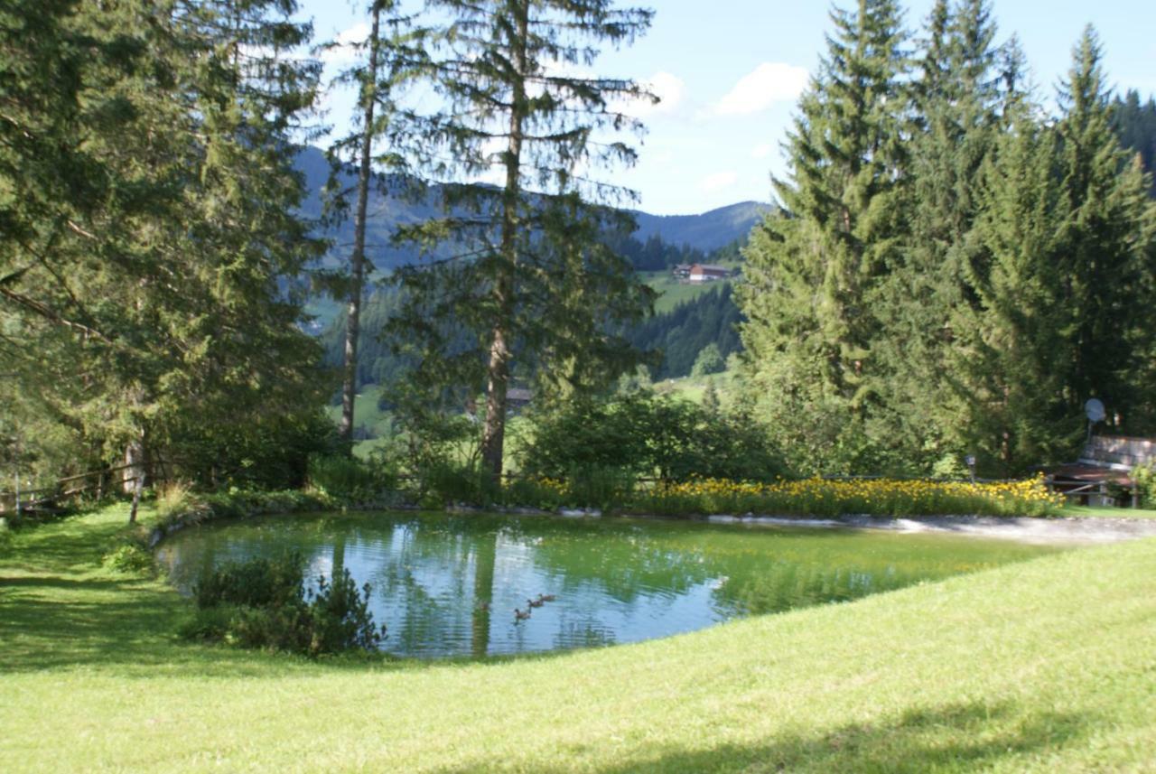 Pension Chalet Bergseegut Wagrain Exterior photo