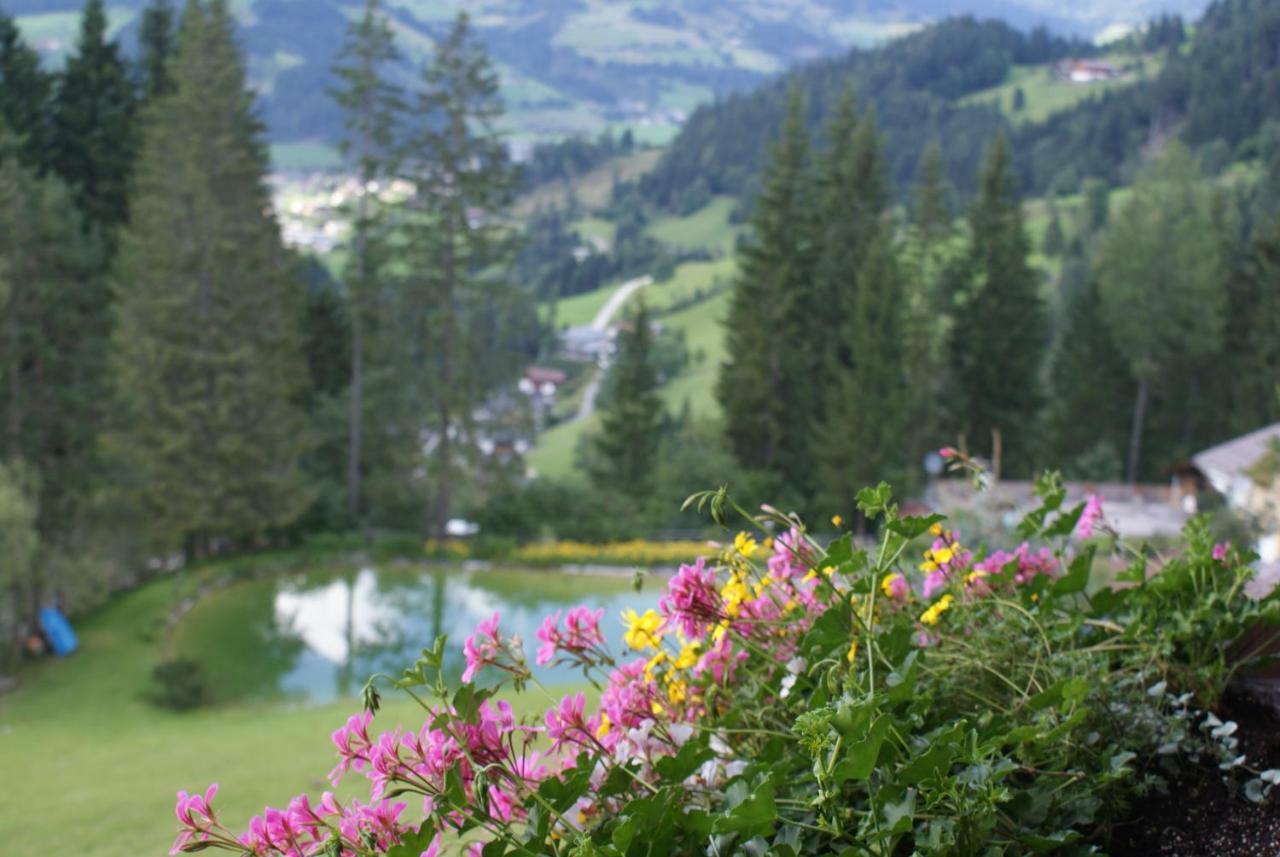 Pension Chalet Bergseegut Wagrain Exterior photo