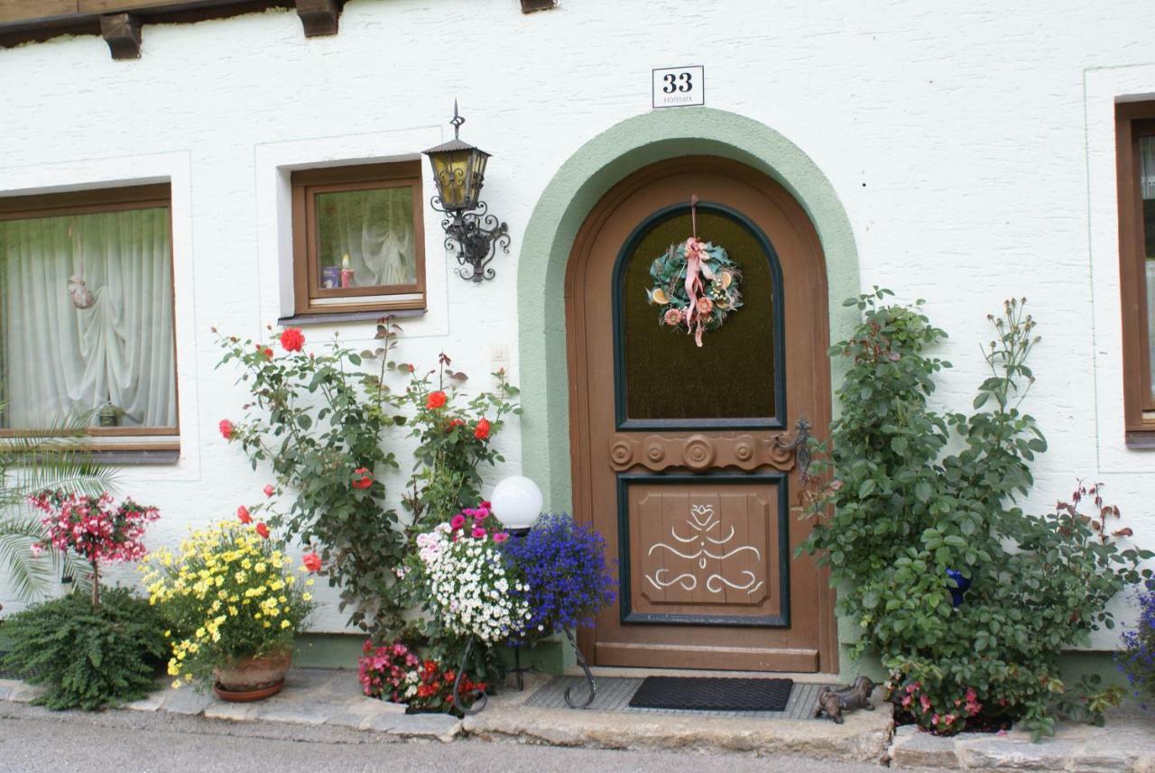 Pension Chalet Bergseegut Wagrain Exterior photo