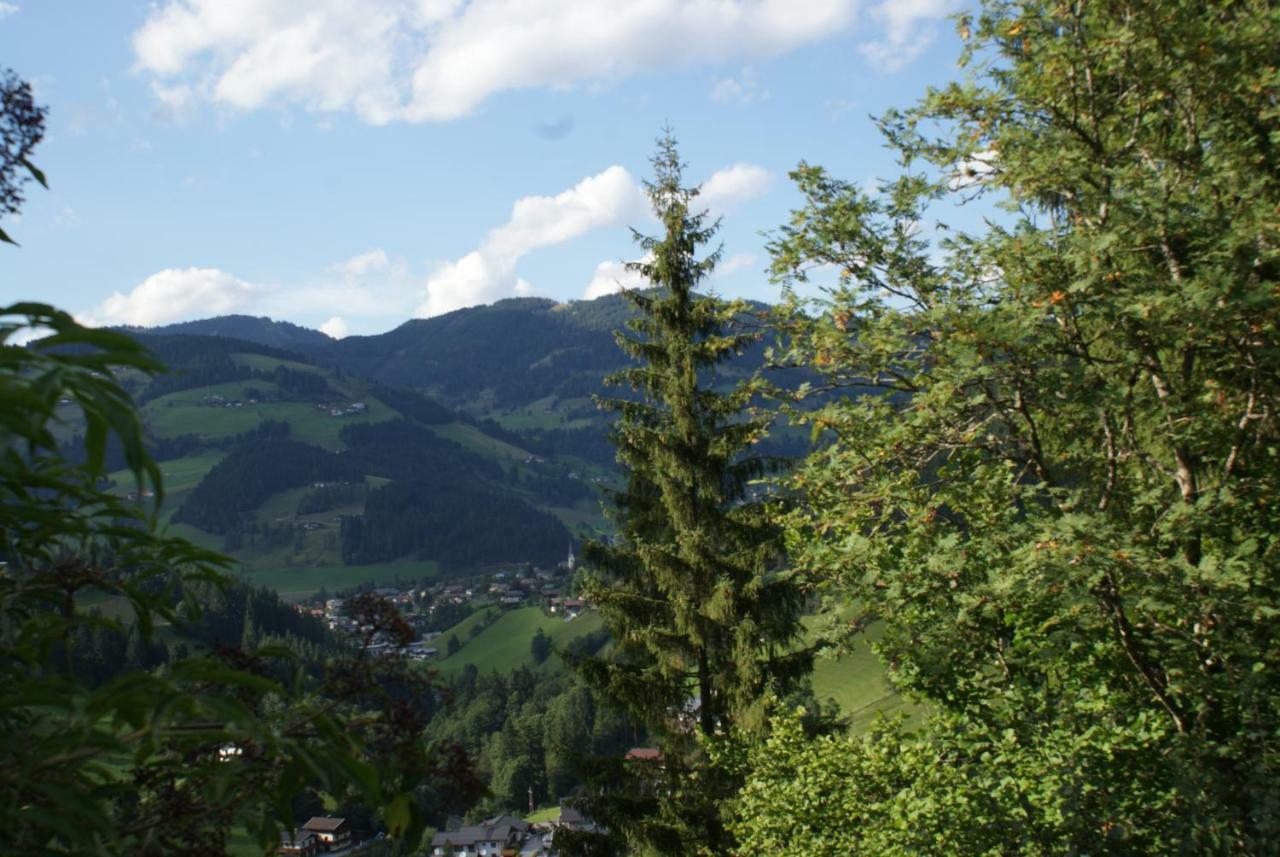 Pension Chalet Bergseegut Wagrain Exterior photo