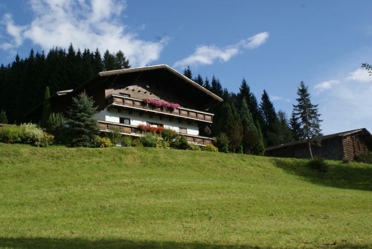 Pension Chalet Bergseegut Wagrain Exterior photo