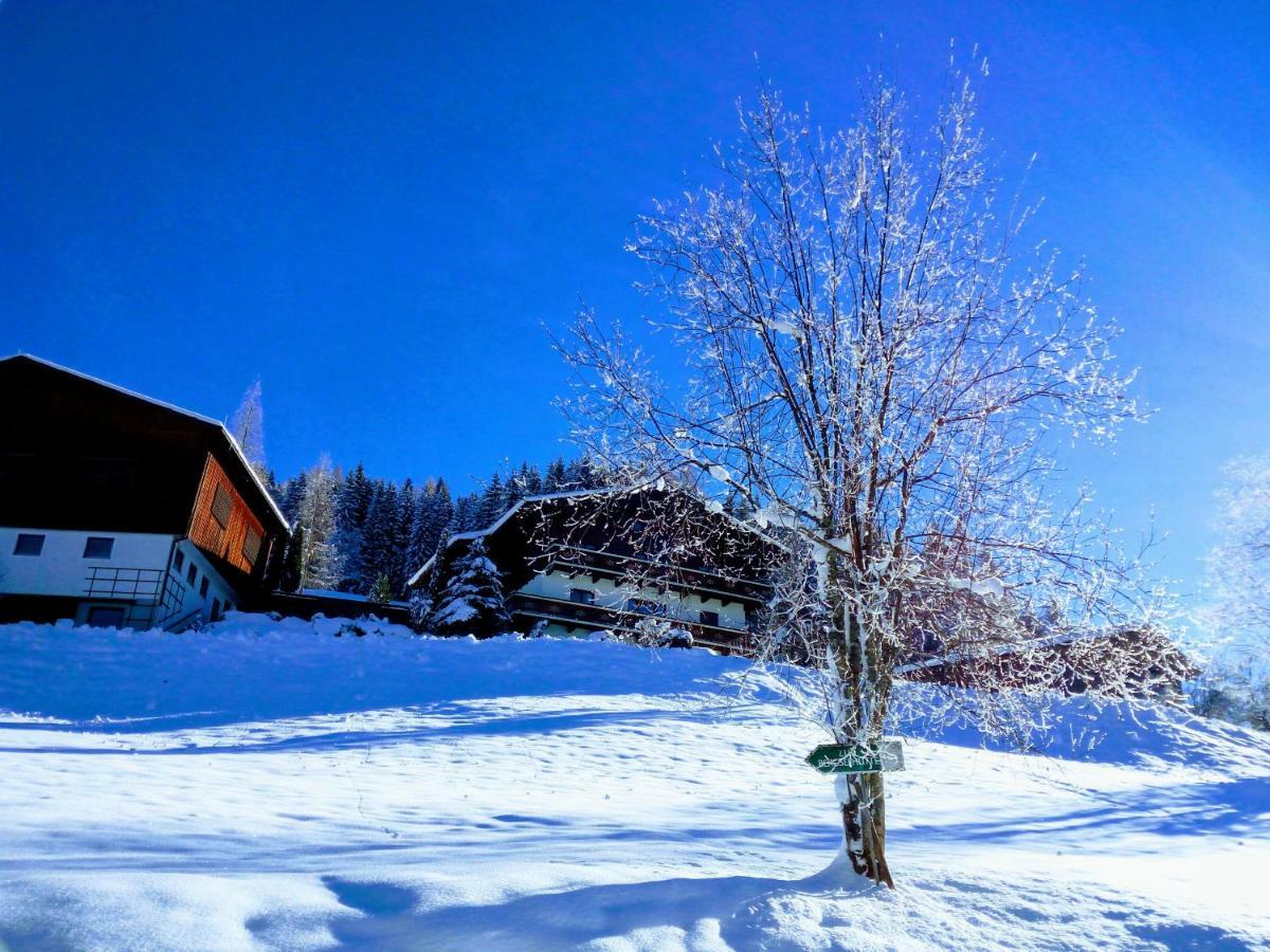Pension Chalet Bergseegut Wagrain Exterior photo